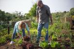 Jakie artykuy rolnicze s niezbdne do uprawy warzyw w maym ogrodzie?